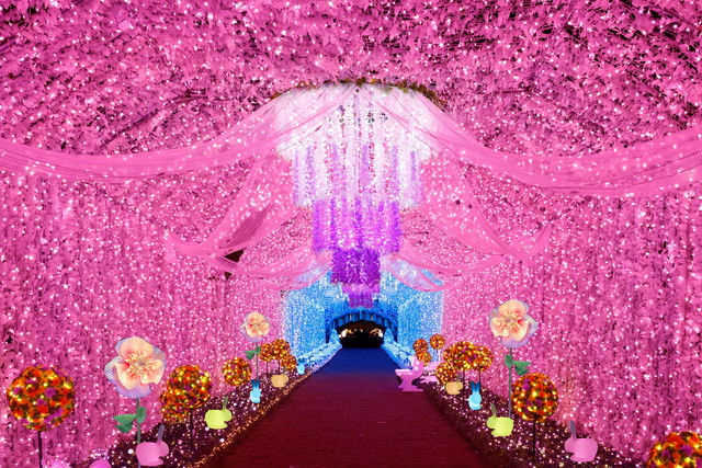 ひかりのすみかイルミネーション（イメージ）