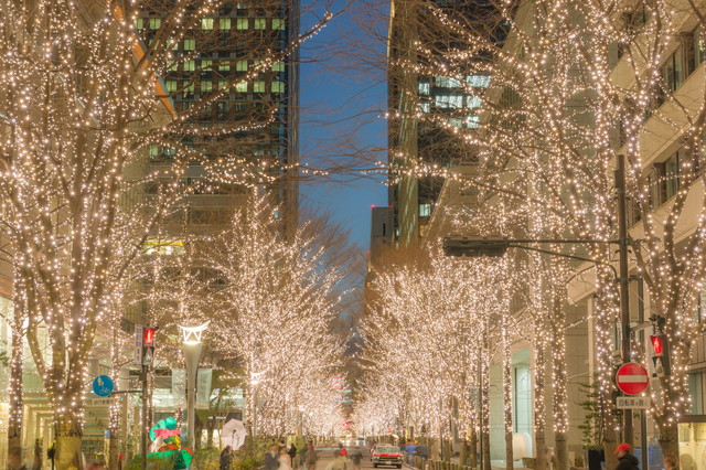 丸の内イルミネーション（イメージ）