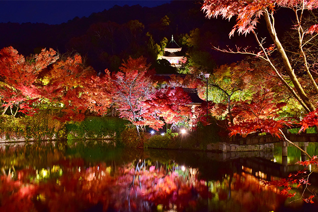  永観堂 紅葉ライトアップ（イメージ）