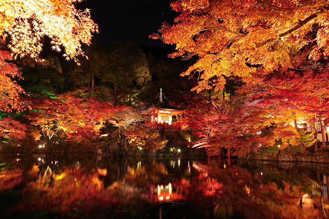 醍醐寺 紅葉ライトアップ(イメージ)