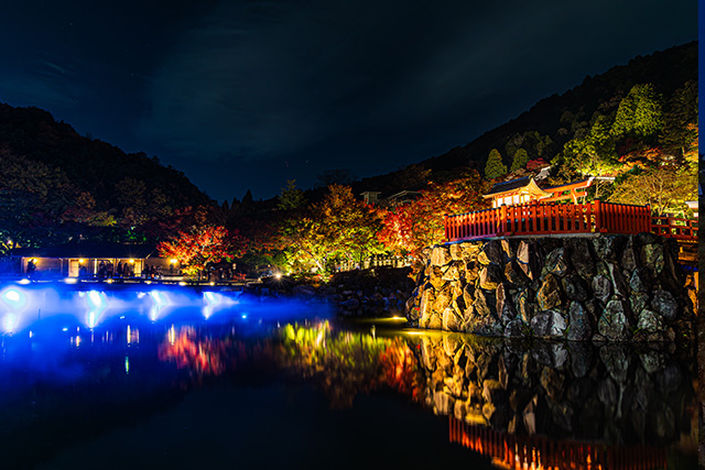 勝尾寺 紅葉ライトアップ(イメージ)