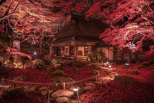 教林坊 紅葉ライトアップ(イメージ)