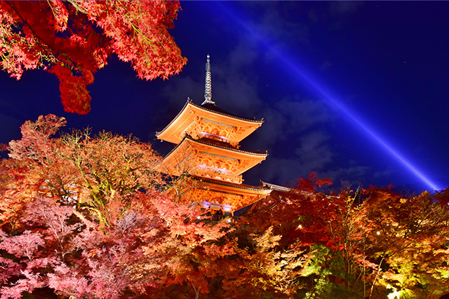 清水寺 紅葉ライトアップ(イメージ)