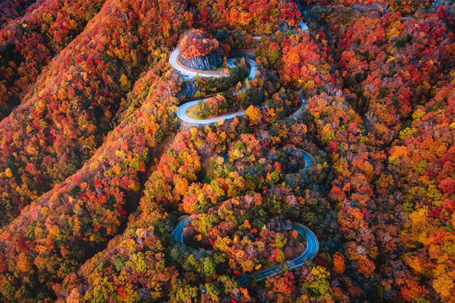 いろは坂 紅葉(イメージ)