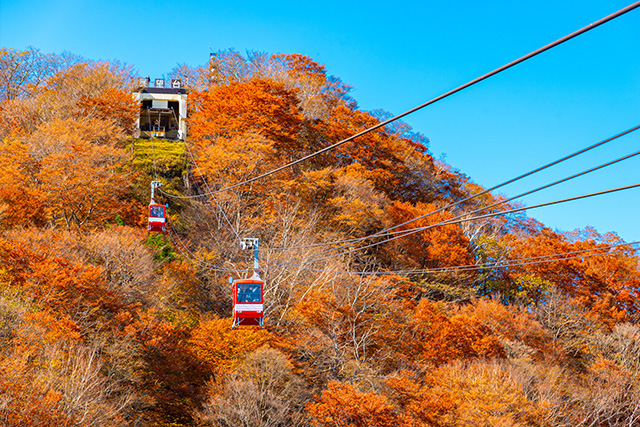 明智平ロープウェイ 紅葉(イメージ)