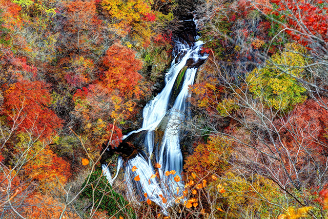 霧降滝 紅葉(イメージ)