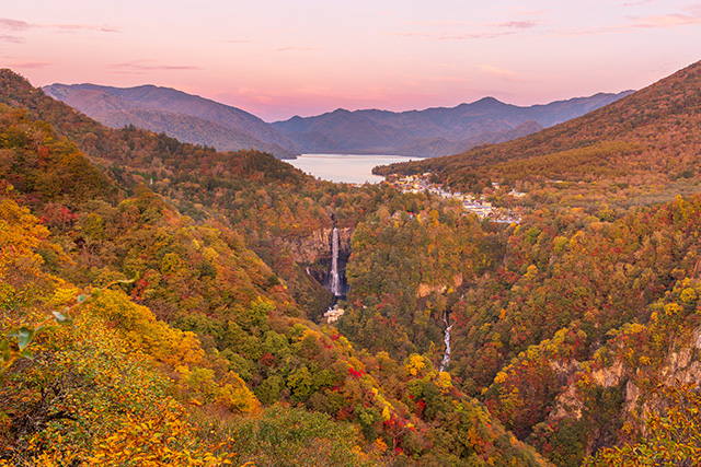 奥日光 紅葉(イメージ)