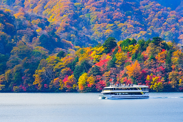 中禅寺湖 紅葉 遊覧船(イメージ)