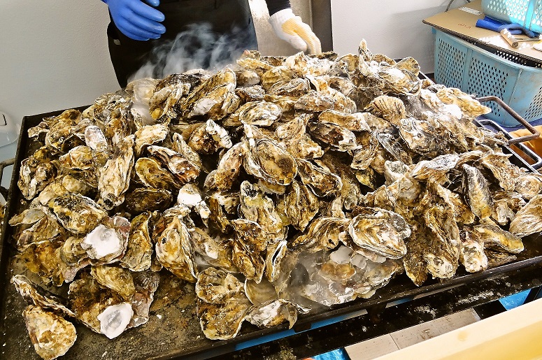 蒸し牡蠣食べ放題（イメージ）
