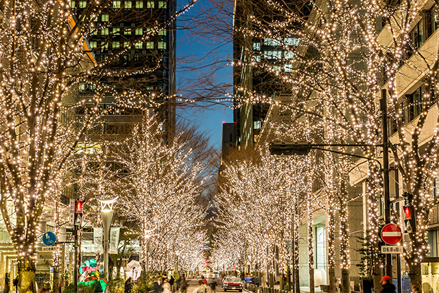 丸の内イルミネーション（イメージ）
