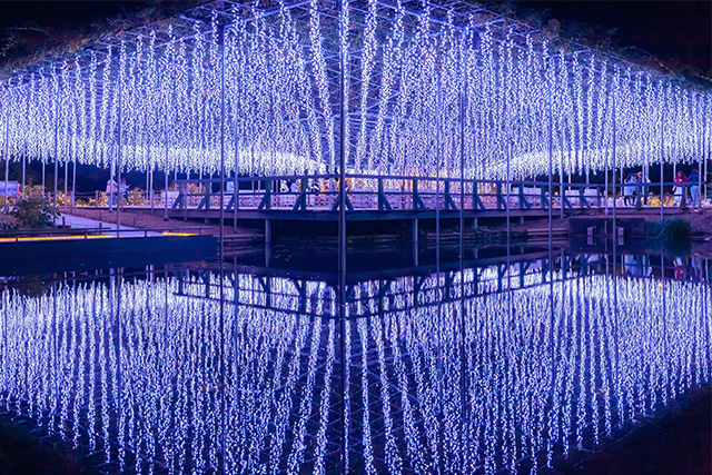 あしかがフラワーパーク 光の花の庭（イメージ）