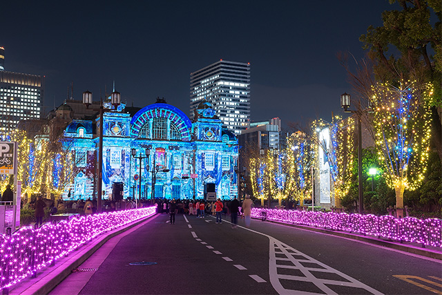 イルミネーションとプロジェクションマッピング（イメージ）