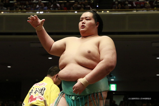 大相撲（イメージ）