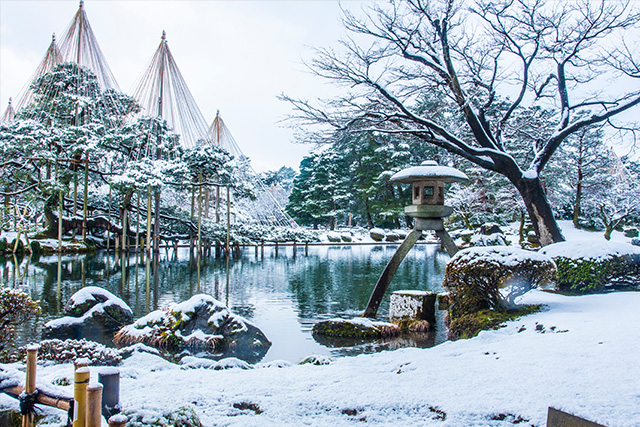 兼六園雪吊り（イメージ）