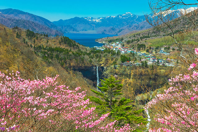 華厳の滝・中禅寺湖とヤシオツツジ(イメージ)