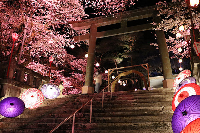 鬼怒川温泉夜桜ライトアップ「鬼怒川万華郷」(イメージ)