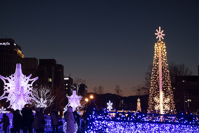 さっぽろホワイトイルミネーション（イメージ）