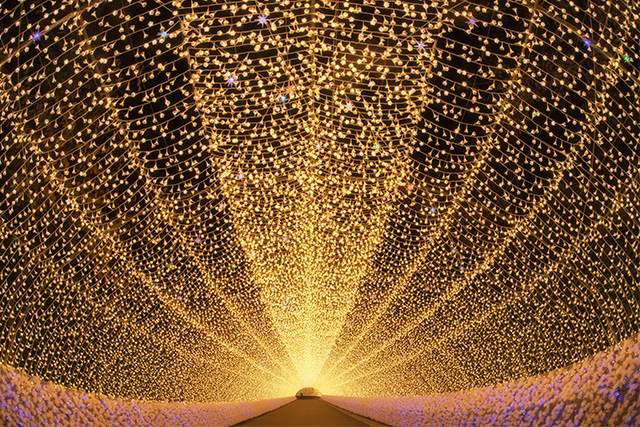 なばなの里 イルミネーション（イメージ）