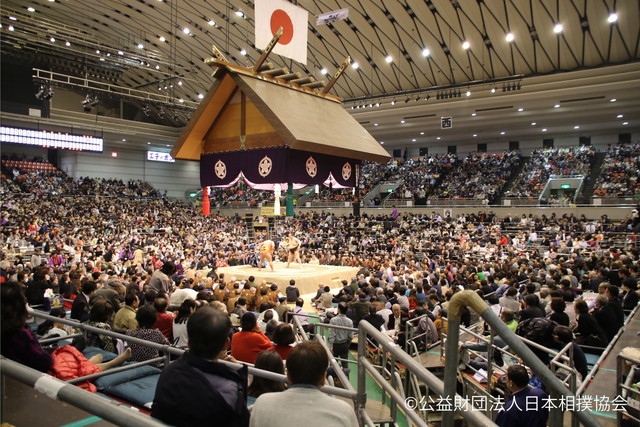 大相撲三月大阪場所 内観（イメージ）