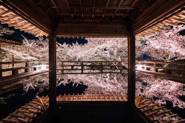 画像提供：びわ湖観光協会