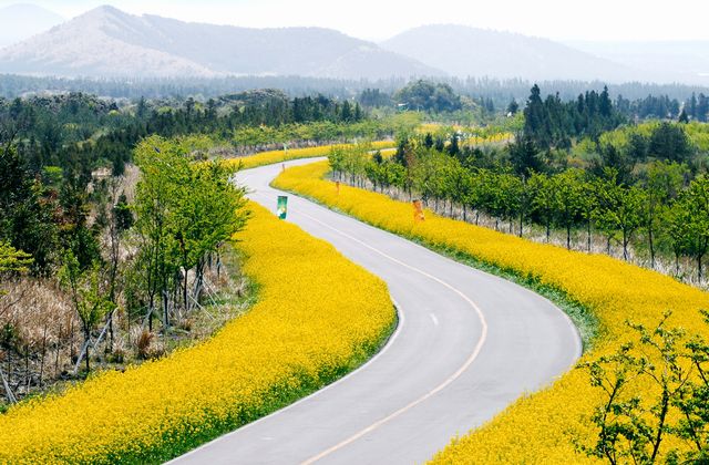 済州島（イメージ）