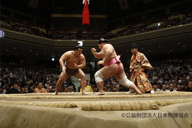 大相撲（イメージ）
