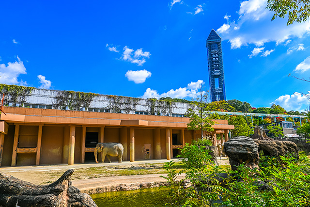 東山動植物園(イメージ)