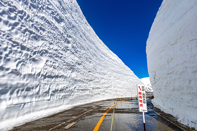 雪の大谷ウォーク(イメージ)