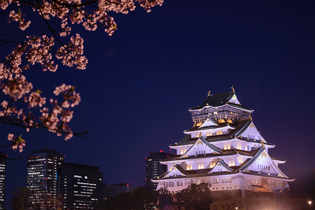 大阪城公園 夜桜（イメージ）