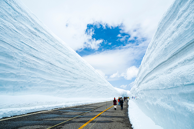 立山黒部アルペンルート 雪の大谷（イメージ）