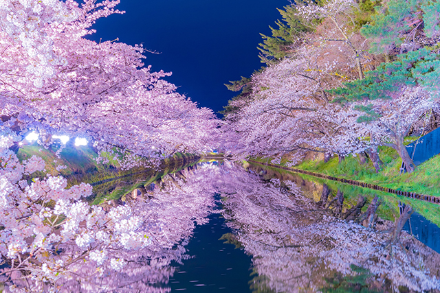 弘前さくらまつり（イメージ）