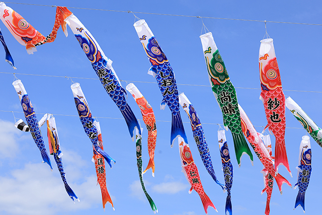 こいのぼりフェスタ1000（イメージ）