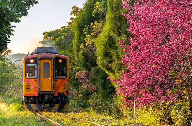 台湾鉄道（イメージ）
