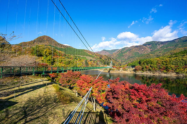 もみじ谷大吊橋（イメージ）
