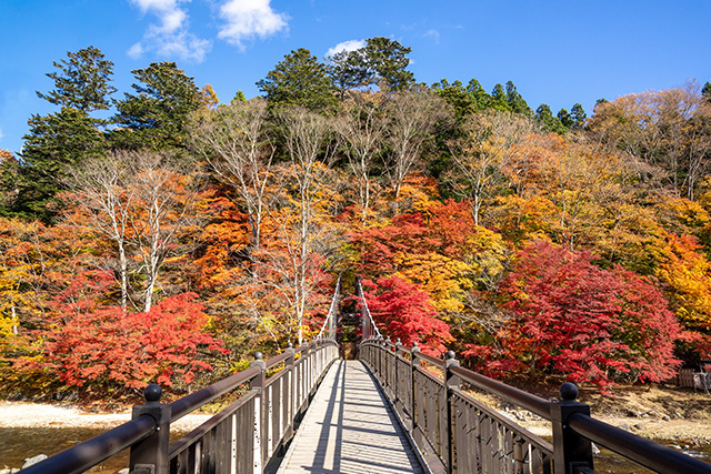 紅の吊橋（イメージ）