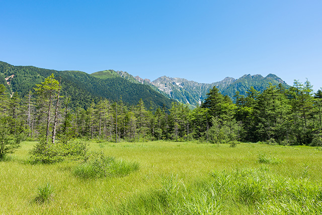 田代湿原（イメージ）