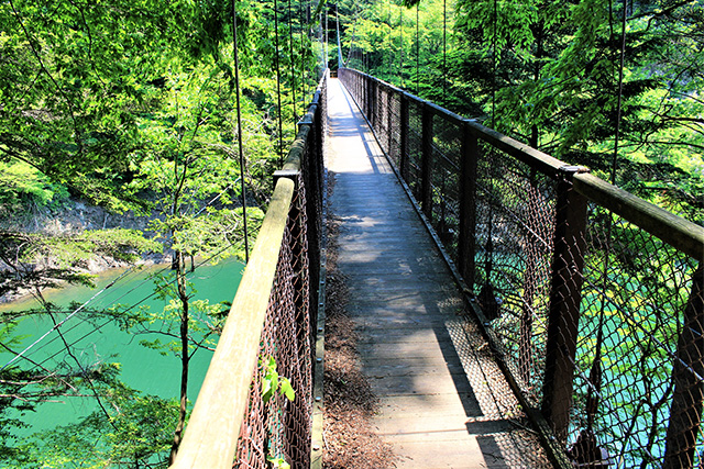 回顧の吊橋(イメージ)