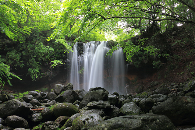 乙女の滝(イメージ)