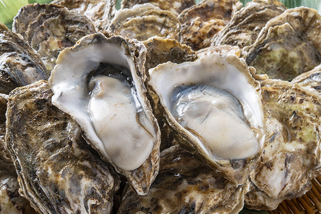 牡蠣（イメージ）