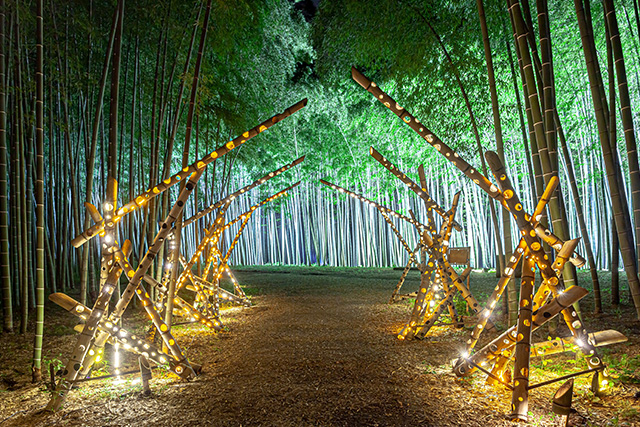 若竹の杜 若山農場（イメージ）