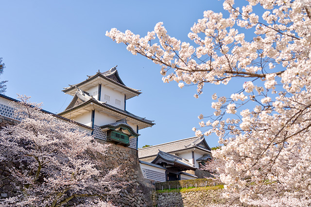 春の金沢城（イメージ）