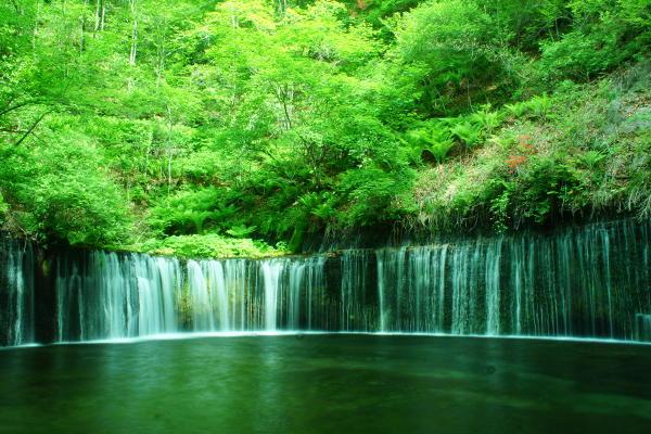 白糸の滝（イメージ）
