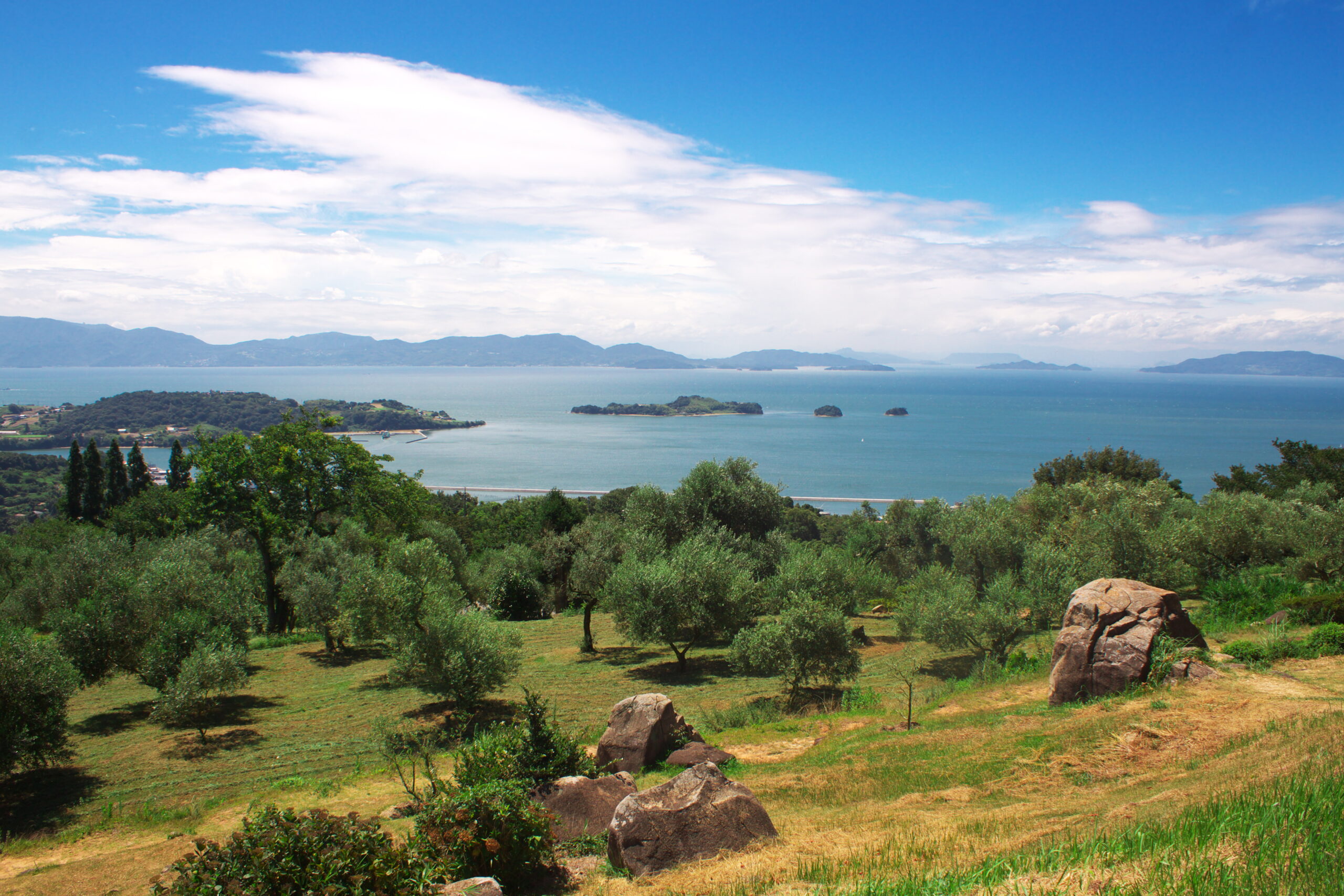 Coastal landscape with an olive grove in the foreground, rocky boulders, calm blue sea, and distant islands under a partly cloudy sky.