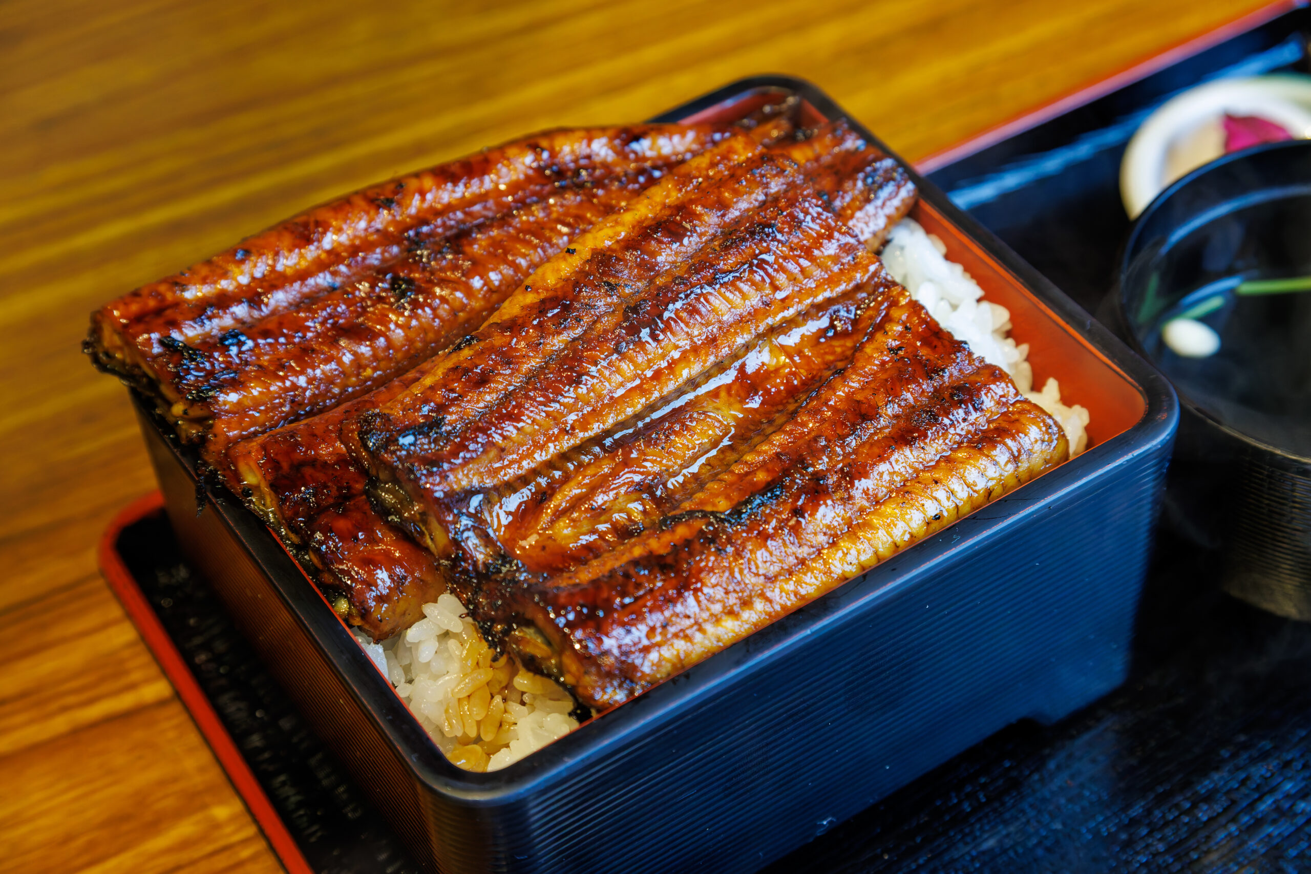 Grilled eel fillets glazed with tare sauce atop steamed white rice in a lacquered bento box