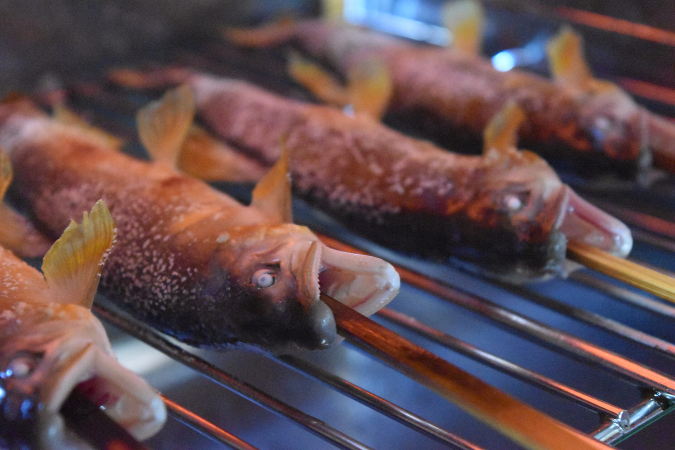 Grilled shrimp on skewers cooking over a barbecue grill, close-up view with charred shells and tails visible.
