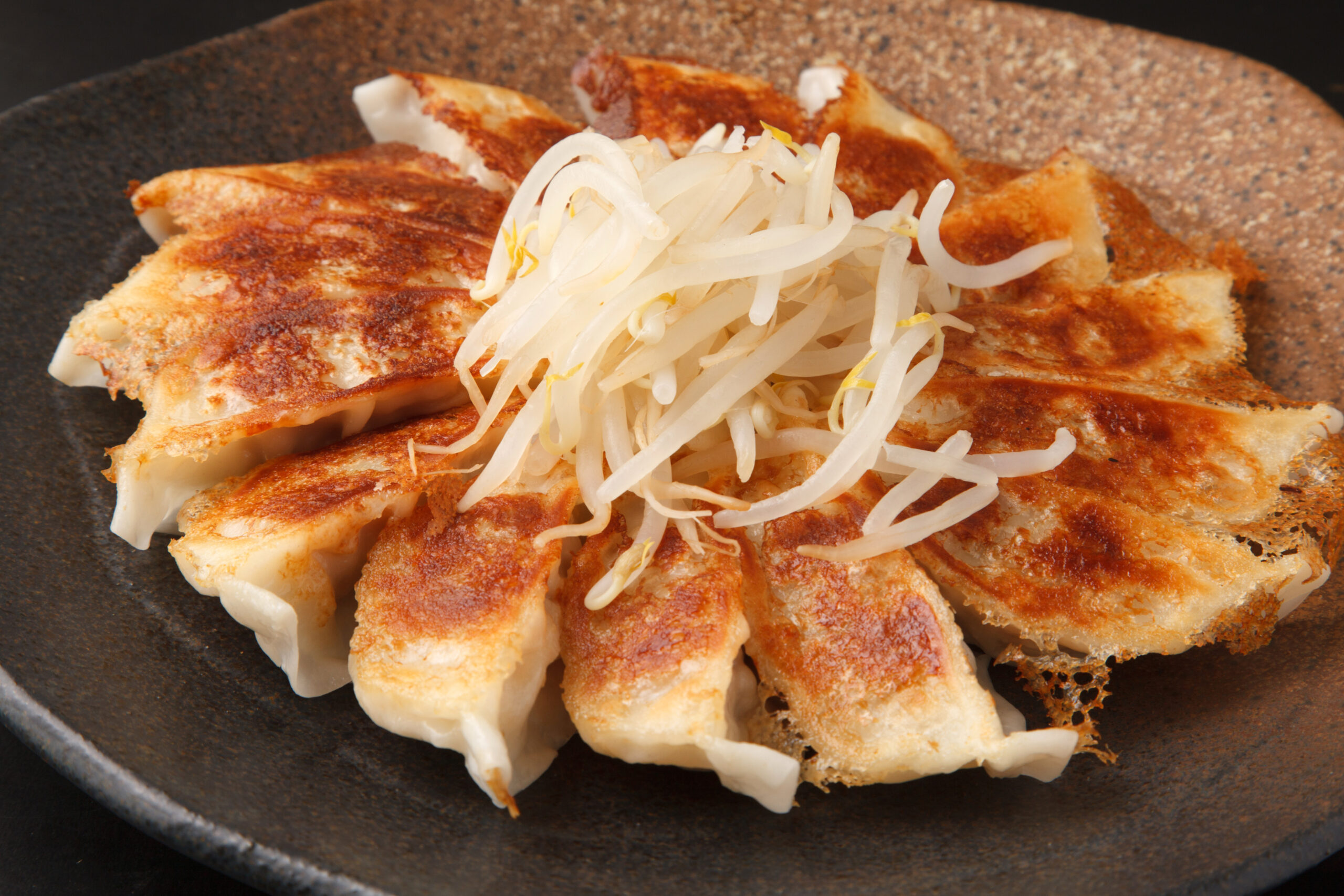Pan-fried dumplings arranged on a dark plate with a mound of shredded bean sprouts on top