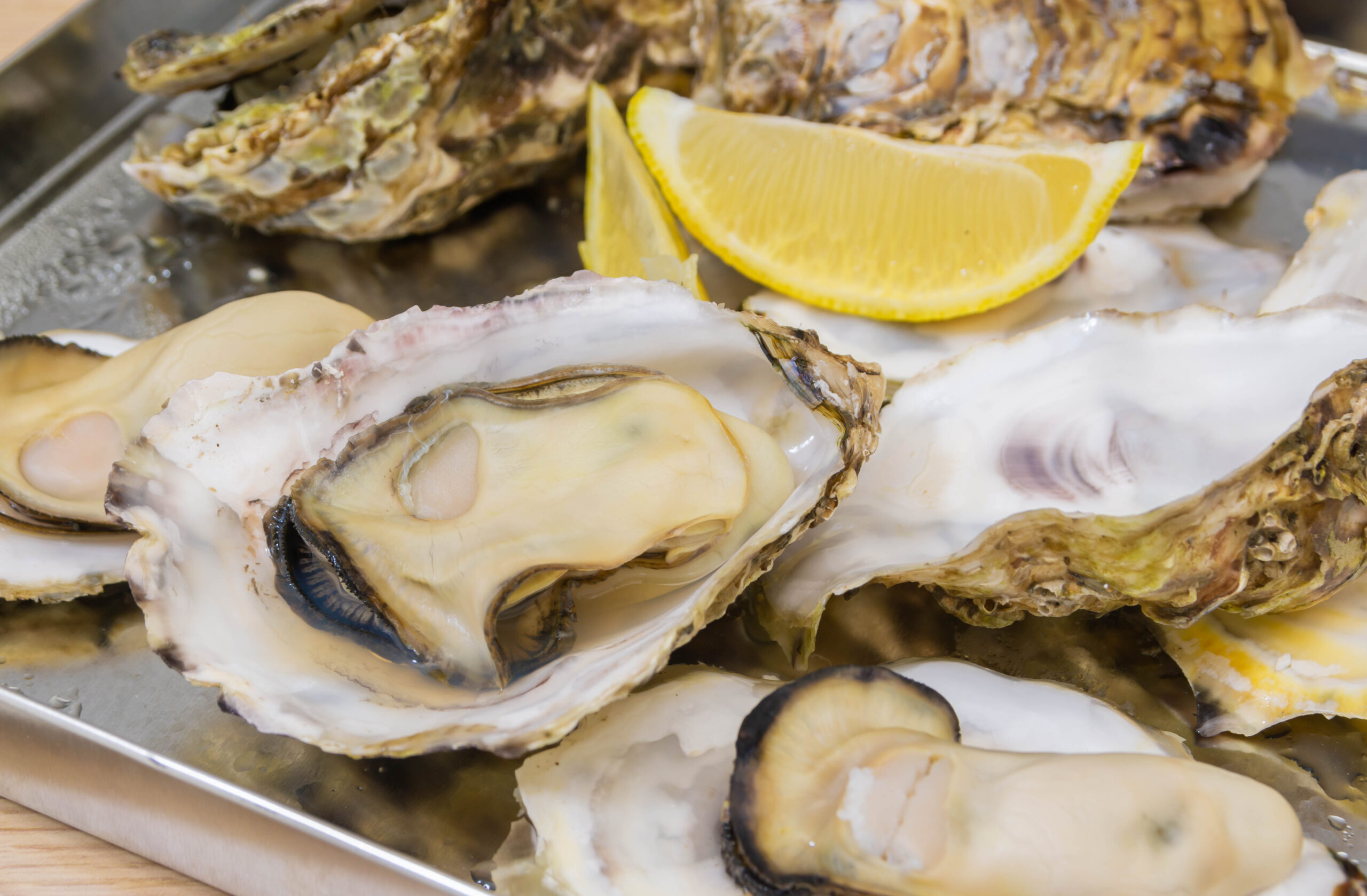Oysters on the half shell arranged on a metal tray with a lemon wedge nearby