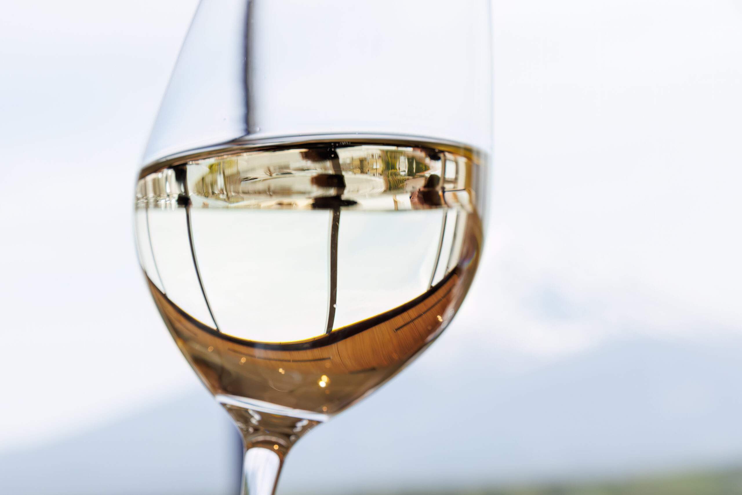 Close-up of a wine glass filled with white wine, with a soft, blurred background.
