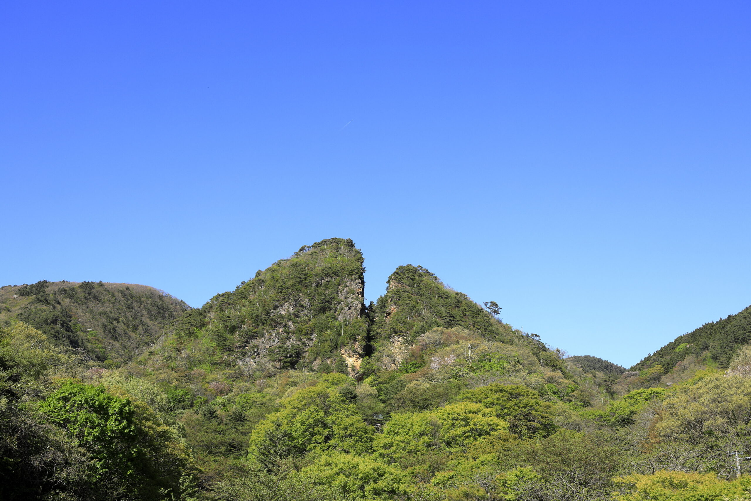 Blue sky over a forested hillside with a faint white airplane contrail in the distance.