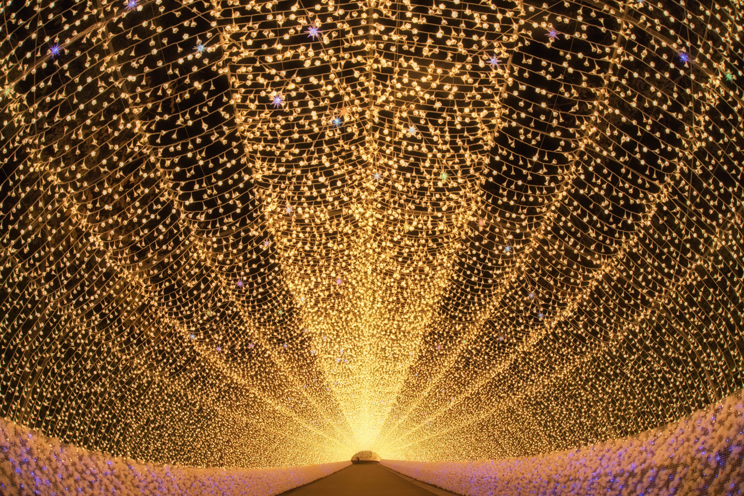 Tunnel of warm string lights overhead, creating a glowing walkway into the distance.